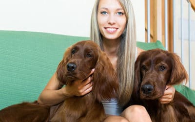 It Doesn’t Matter What Sort Of Dog-related Question, We Have The Answer